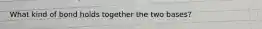 What kind of bond holds together the two bases?