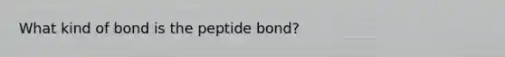 What kind of bond is the peptide bond?