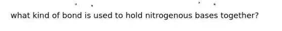 what kind of bond is used to hold nitrogenous bases together?