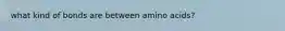 what kind of bonds are between amino acids?