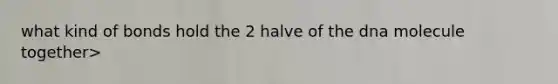 what kind of bonds hold the 2 halve of the dna molecule together>