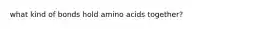 what kind of bonds hold amino acids together?