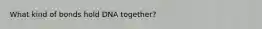 What kind of bonds hold DNA together?