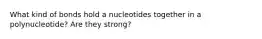 What kind of bonds hold a nucleotides together in a polynucleotide? Are they strong?