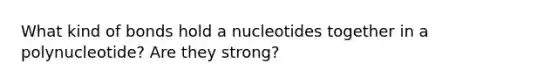 What kind of bonds hold a nucleotides together in a polynucleotide? Are they strong?