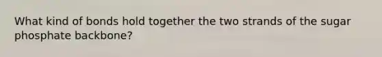 What kind of bonds hold together the two strands of the sugar phosphate backbone?