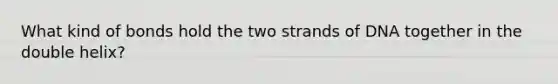 What kind of bonds hold the two strands of DNA together in the double helix?