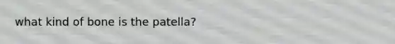 what kind of bone is the patella?