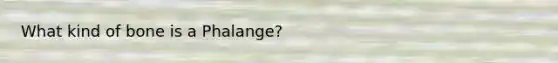 What kind of bone is a Phalange?