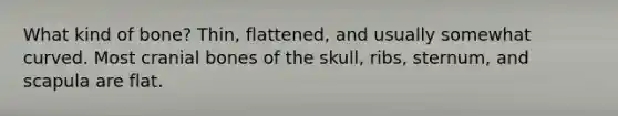 What kind of bone? Thin, flattened, and usually somewhat curved. Most cranial bones of the skull, ribs, sternum, and scapula are flat.