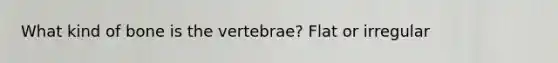 What kind of bone is the vertebrae? Flat or irregular