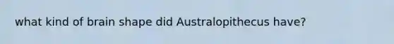 what kind of brain shape did Australopithecus have?