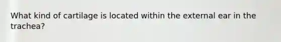 What kind of cartilage is located within the external ear in the trachea?