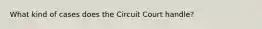 What kind of cases does the Circuit Court handle?