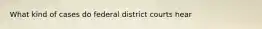 What kind of cases do federal district courts hear