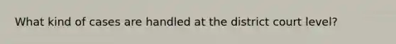 What kind of cases are handled at the district court level?