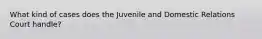 What kind of cases does the Juvenile and Domestic Relations Court handle?