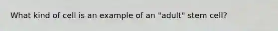 What kind of cell is an example of an "adult" stem cell?