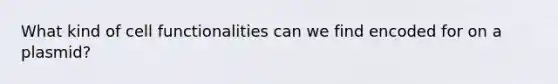 What kind of cell functionalities can we find encoded for on a plasmid?