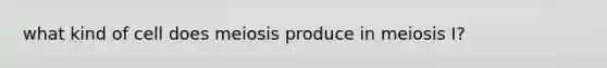 what kind of cell does meiosis produce in meiosis I?