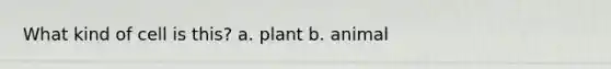 What kind of cell is this? a. plant b. animal