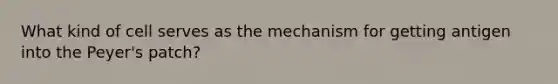 What kind of cell serves as the mechanism for getting antigen into the Peyer's patch?