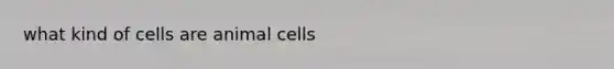 what kind of cells are animal cells