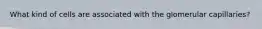 What kind of cells are associated with the glomerular capillaries?