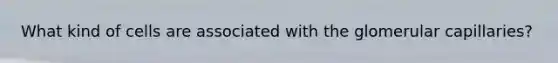 What kind of cells are associated with the glomerular capillaries?