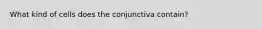 What kind of cells does the conjunctiva contain?