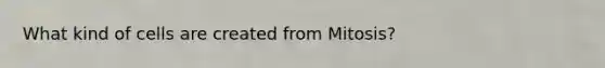 What kind of cells are created from Mitosis?