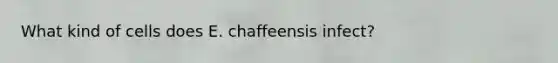 What kind of cells does E. chaffeensis infect?