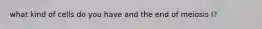 what kind of cells do you have and the end of meiosis I?