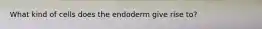 What kind of cells does the endoderm give rise to?