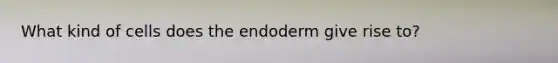 What kind of cells does the endoderm give rise to?