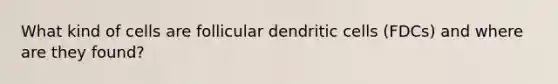 What kind of cells are follicular dendritic cells (FDCs) and where are they found?