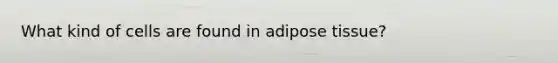 What kind of cells are found in adipose tissue?