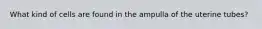 What kind of cells are found in the ampulla of the uterine tubes?