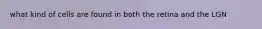 what kind of cells are found in both the retina and the LGN