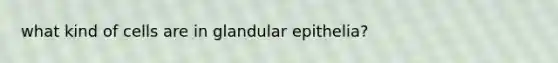 what kind of cells are in glandular epithelia?