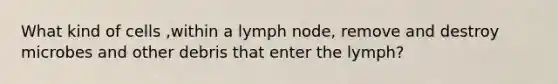 What kind of cells ,within a lymph node, remove and destroy microbes and other debris that enter the lymph?