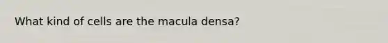 What kind of cells are the macula densa?