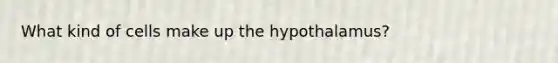 What kind of cells make up the hypothalamus?