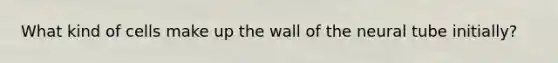 What kind of cells make up the wall of the neural tube initially?