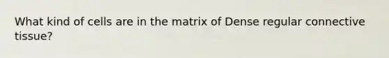 What kind of cells are in the matrix of Dense regular connective tissue?