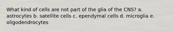 What kind of cells are not part of the glia of the CNS? a. astrocytes b. satellite cells c. ependymal cells d. microglia e. oligodendrocytes