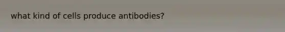 what kind of cells produce antibodies?