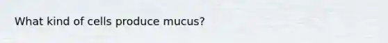 What kind of cells produce mucus?