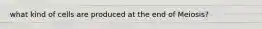 what kind of cells are produced at the end of Meiosis?
