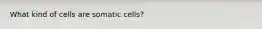 What kind of cells are somatic cells?